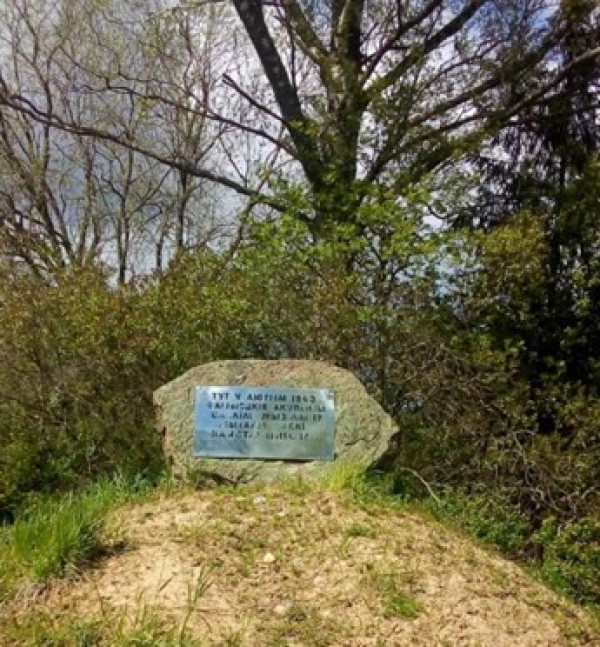 Нажмите для предварительного просмотра изображения