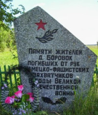 Боровок, Кохановичский сельсовет