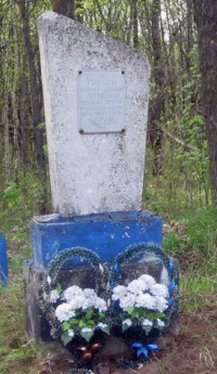 Литвяки, Кохановичский сельсовет