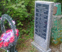 Волки, Волынецкий сельсовет